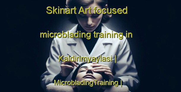 Skinart Art-focused microblading training in Kaldirimyaylasi | MicrobladingTraining | MicrobladingClasses | SkinartTraining-Turkey